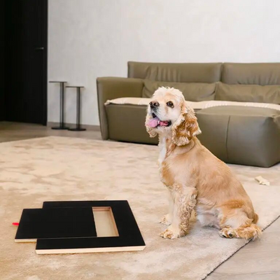 Animoozy™ | Krallenfeilenbrett für Hunde