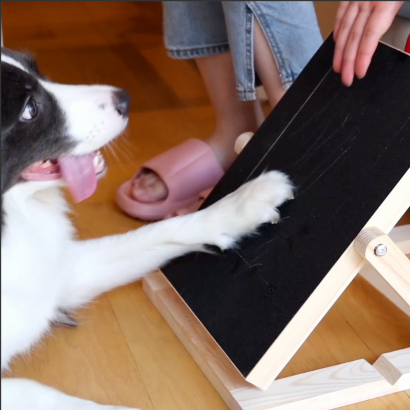 Animoozy™ | Krallenfeilenbrett für Hunde